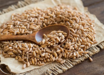 Whole grains help you live longer