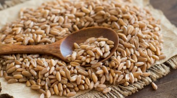 Whole grains help you live longer